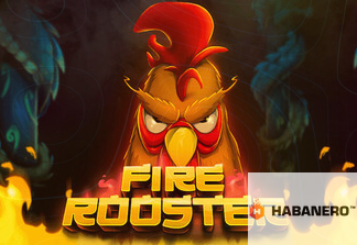 Fire Rooster